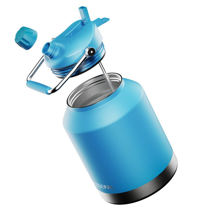 Load image into Gallery viewer, AUSSIE PAL INSULATED HYDRO JUG 4L [CLR:BLUE]

