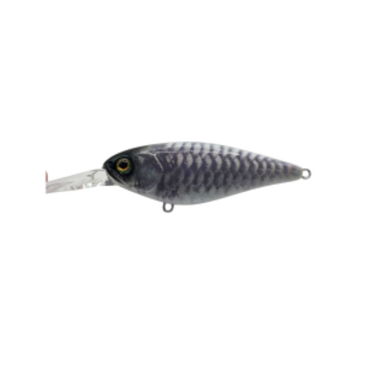 JACKALL SQ79 SQUIRREL FLAT [CLR:KING OF THE NIGHT]