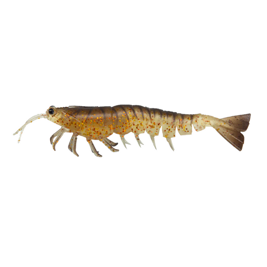 IRUKANDJI MEGAPRAWN [SZ:3 INCH CLR:COCKROACH]