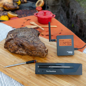 MEATSTICK WIFI BRIDGE - UNLIMITED RANGE BR600