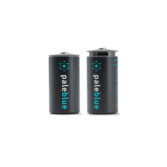 PALEBLUE C USB RECHARGEABLE SMART BATTERIES
