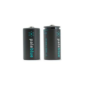 PALEBLUE D USB RECHARGABLE SMART BATTERIES