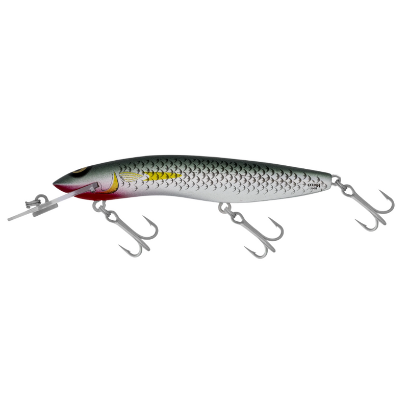 Load image into Gallery viewer, RMG SCORPION 125 [SZ:3M CLR:R25 MULLET]
