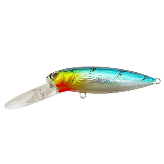 REIDYS LITTLE LUCIFER EXPORT [CLR:SB]