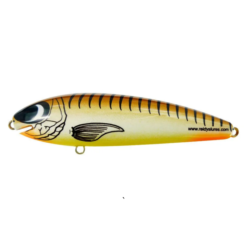 Load image into Gallery viewer, REIDYS TAIPAN [SZ:3M CLR:07G]
