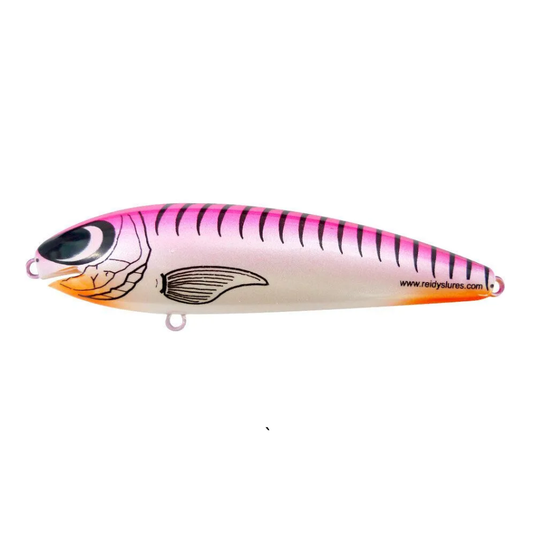 REIDYS TAIPAN [SZ:3M CLR:010]