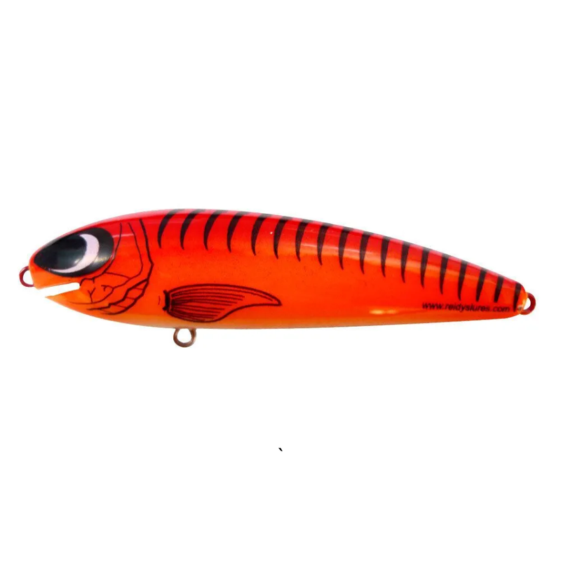 Load image into Gallery viewer, REIDYS TAIPAN [SZ:2M CLR:002]
