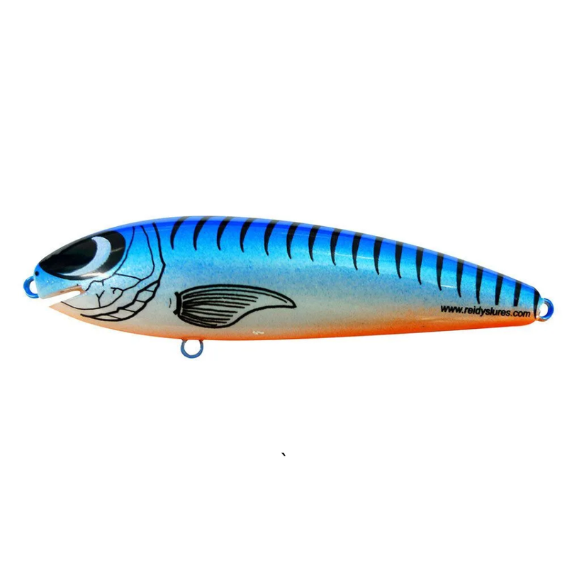 Load image into Gallery viewer, REIDYS TAIPAN [SZ:2M CLR:030]
