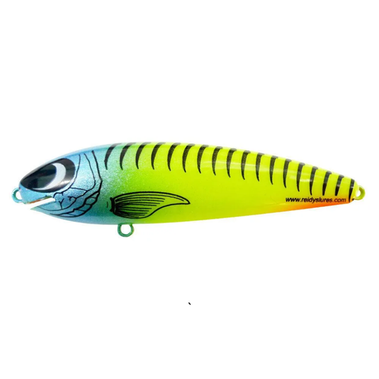 REIDYS TAIPAN [SZ:2M CLR:BLUE 4 U]