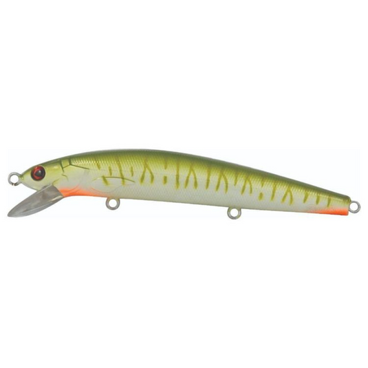REIDYS JUNIOR B52 [CLR:SEAWEED]