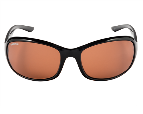 SPOTTERS SUNGLASSES RUBY GLOSS BROWN HALIDE 