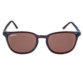 SPOTTERS SUNGLASSES SAGE GLOSS BROWN HALIDE 
