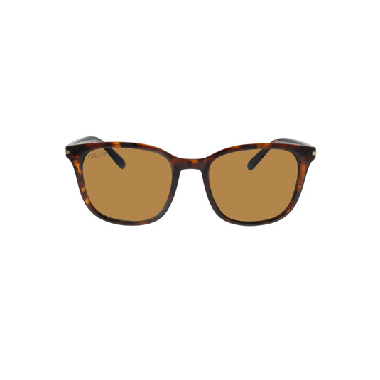 OXIDE EYEWEAR NEBULAR TORTOISESHELL BROWN LENS 