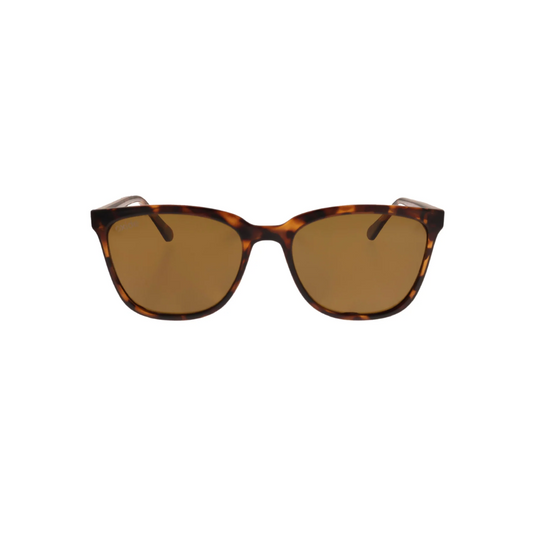 OXIDE EYEWEAR LUNA TORTOISESHELL BROWN LENS 