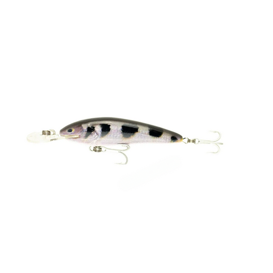 RAPTOR LURES JACK SNAX 7+ LIVE SERIES [CLR:ARCHER FISH]