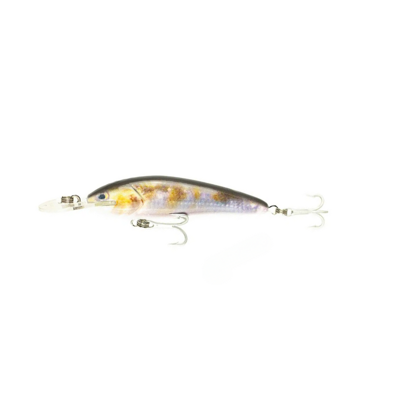 Load image into Gallery viewer, RAPTOR LURES JACK SNAX 7+ LIVE SERIES [CLR:COY CARP]
