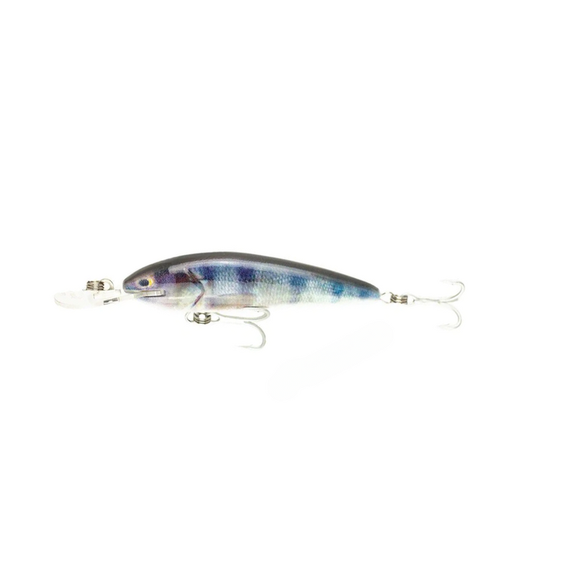 Load image into Gallery viewer, RAPTOR LURES JACK SNAX 7+ LIVE SERIES [CLR:REDFIN PERCH]
