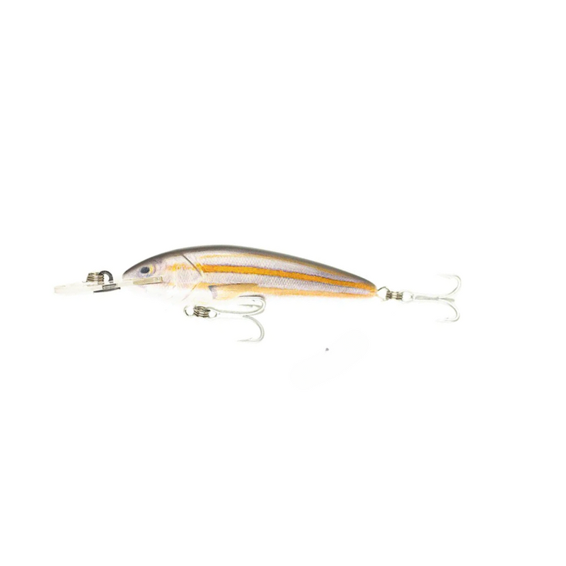 Load image into Gallery viewer, RAPTOR LURES JACK SNAX 7+ LIVE SERIES [CLR:STRIPEY]
