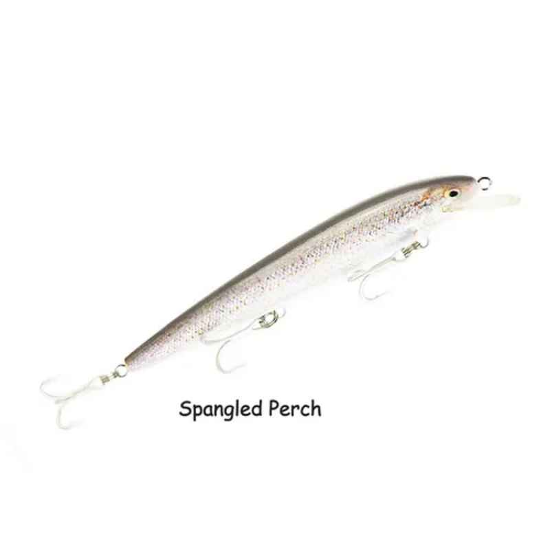 Load image into Gallery viewer, RAPTOR LURES DOMINATOR 7&quot; LIVE SERIES [CLR:SPANGLED PERCH]
