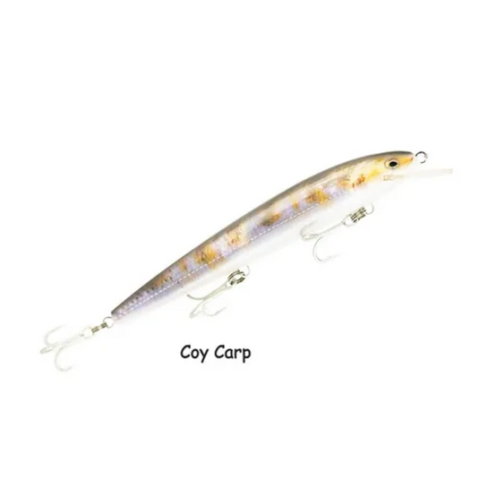 RAPTOR LURES DOMINATOR 7" LIVE SERIES [CLR:COY CARP]