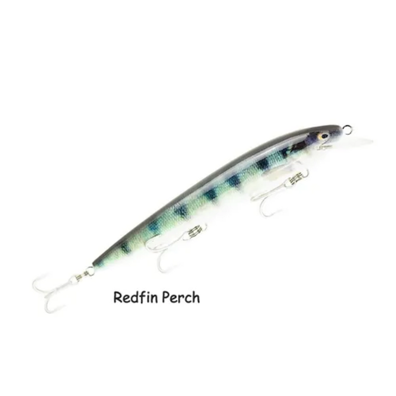 Load image into Gallery viewer, RAPTOR LURES DOMINATOR 7&quot; LIVE SERIES [CLR:REDFIN PERCH]
