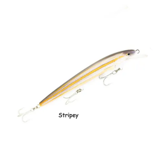 RAPTOR LURES DOMINATOR 7" LIVE SERIES [CLR:STRIPEY]
