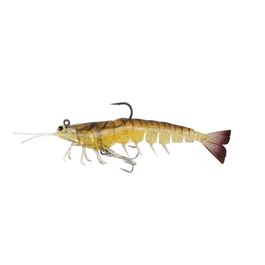 IRUKANDJI MEGAPRAWN DTF [SZ:4.5 INCH CLR:COCKROACH]